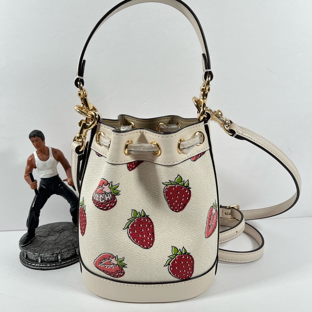 NWT！COACH MINI BUCKET BAG WITH STRAWBERRY PRINT (COACH CAL11) - Picture 2 of 6